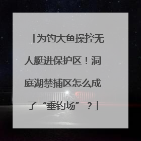 为钓大鱼操控无人艇进保护区！洞庭湖禁捕区怎么成了“垂钓场”？