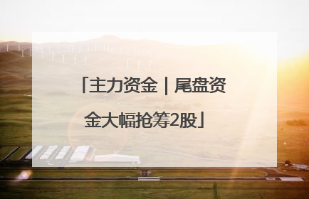 主力资金｜尾盘资金大幅抢筹2股