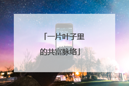 一片叶子里的共富脉络
