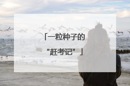 一粒种子的“赶考记”