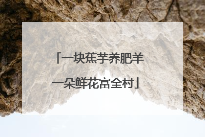 一块蕉芋养肥羊 一朵鲜花富全村