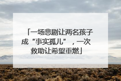 一场悲剧让两名孩子成“事实孤儿”，一次救助让希望重燃