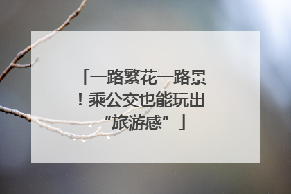 一路繁花一路景！乘公交也能玩出“旅游感”