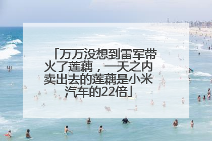 万万没想到雷军带火了莲藕，一天之内卖出去的莲藕是小米汽车的22倍