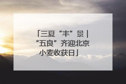 三夏“丰”景｜“五良”齐迎北京小麦收获日