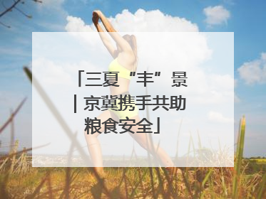 三夏“丰”景｜京冀携手共助粮食安全