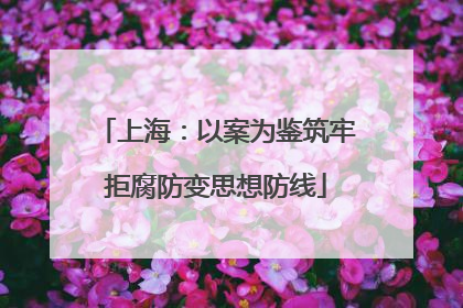 上海：以案为鉴筑牢拒腐防变思想防线