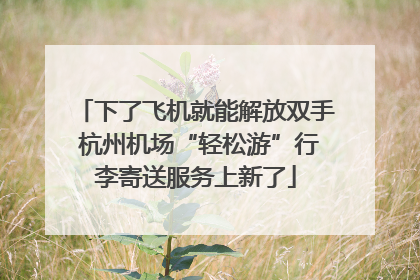 下了飞机就能解放双手 杭州机场“轻松游”行李寄送服务上新了