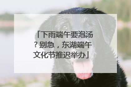 下雨端午要泡汤？别急，东湖端午文化节推迟举办