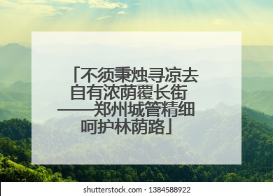 不须秉烛寻凉去 自有浓荫覆长街——郑州城管精细呵护林荫路