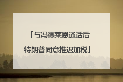 与冯德莱恩通话后 特朗普同意推迟加税