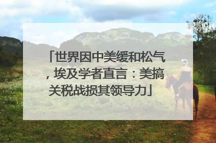 世界因中美缓和松气，埃及学者直言：美搞关税战损其领导力