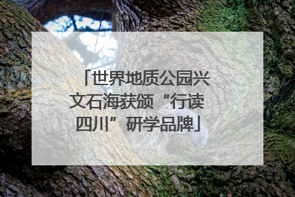 世界地质公园兴文石海获颁“行读四川”研学品牌