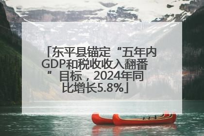 东平县锚定“五年内GDP和税收收入翻番”目标，2024年同比增长5.8%