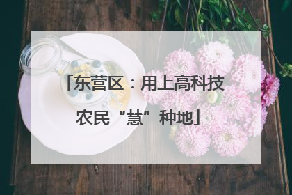 东营区：用上高科技 农民“慧”种地