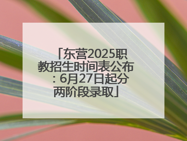 东营2025职教招生时间表公布：6月27日起分两阶段录取