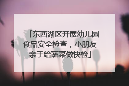 东西湖区开展幼儿园食品安全检查，小朋友亲手给蔬菜做快检
