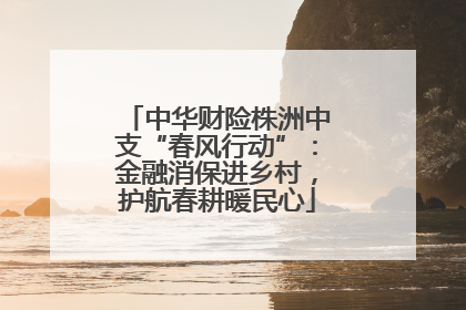 中华财险株洲中支“春风行动”：金融消保进乡村，护航春耕暖民心