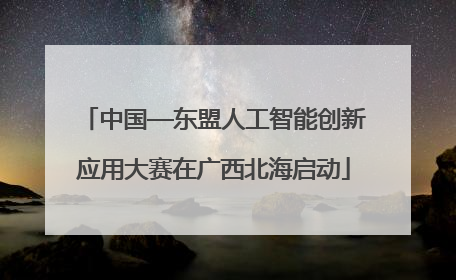 中国—东盟人工智能创新应用大赛在广西北海启动