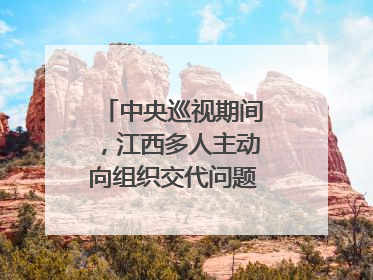 中央巡视期间，江西多人主动向组织交代问题｜打虎拍蝇