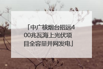 中广核烟台招远400兆瓦海上光伏项目全容量并网发电