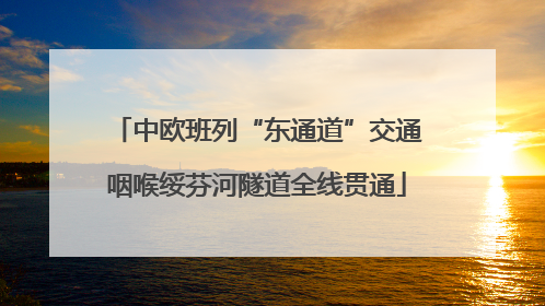 中欧班列“东通道”交通咽喉绥芬河隧道全线贯通