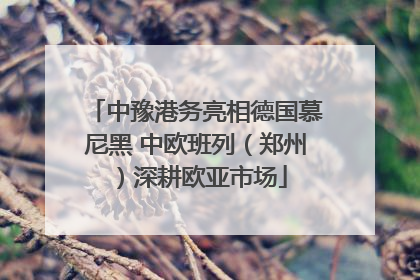 中豫港务亮相德国慕尼黑 中欧班列（郑州）深耕欧亚市场