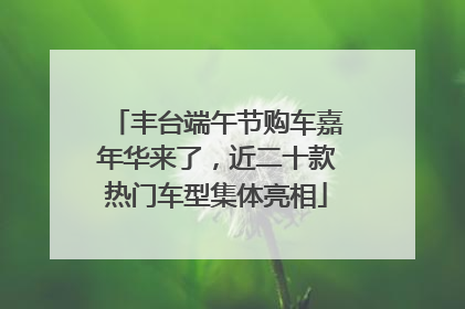 丰台端午节购车嘉年华来了，近二十款热门车型集体亮相