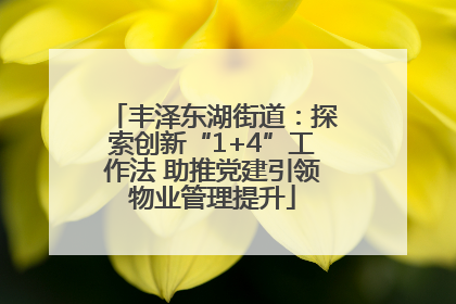 丰泽东湖街道：探索创新“1+4”工作法 助推党建引领物业管理提升