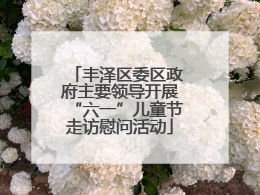丰泽区委区政府主要领导开展“六一”儿童节走访慰问活动