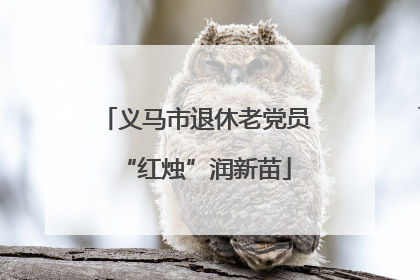 义马市退休老党员“红烛”润新苗