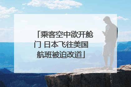 乘客空中欲开舱门 日本飞往美国航班被迫改道