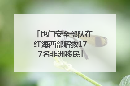 也门安全部队在红海西部解救177名非洲移民