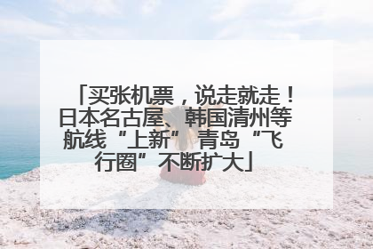买张机票，说走就走！日本名古屋、韩国清州等航线“上新” 青岛“飞行圈”不断扩大
