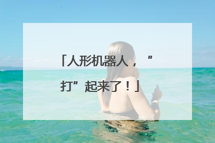人形机器人，“打”起来了！