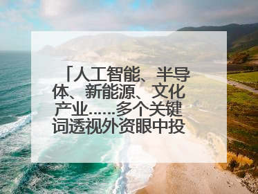 人工智能、半导体、新能源、文化产业……多个关键词透视外资眼中投资中国的新机遇