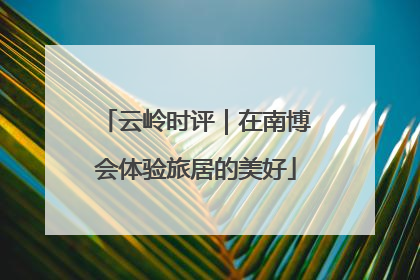云岭时评｜在南博会体验旅居的美好