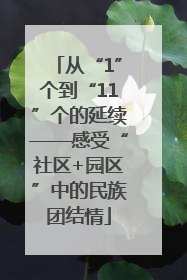 从“1”个到“11”个的延续——感受“社区+园区”中的民族团结情