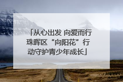 从心出发 向爱而行 珠晖区“向阳花”行动守护青少年成长