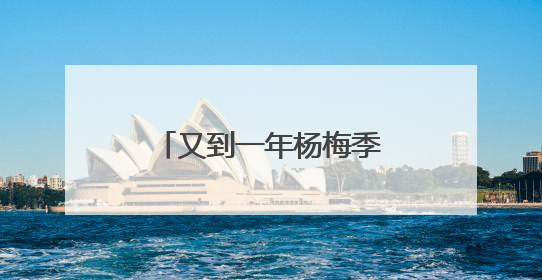 又到一年杨梅季！浙江杨梅赴沪参加世界级食品展