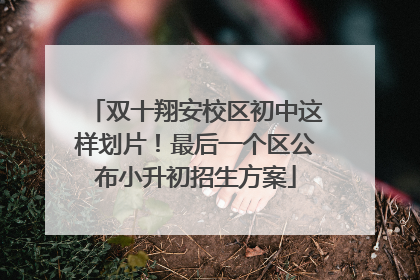 双十翔安校区初中这样划片！最后一个区公布小升初招生方案