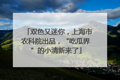 双色又迷你，上海市农科院出品，“吃瓜界”的小清新来了