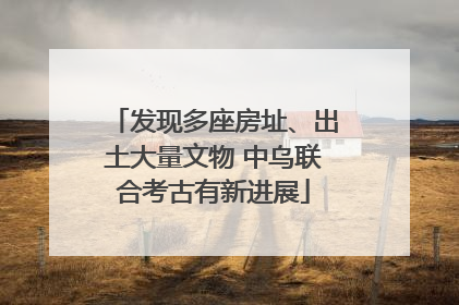 发现多座房址、出土大量文物 中乌联合考古有新进展