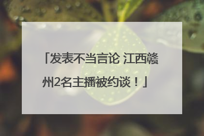 发表不当言论 江西赣州2名主播被约谈！
