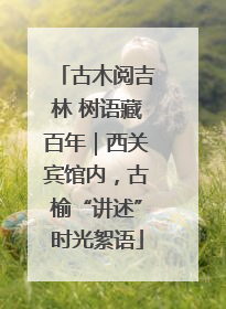 古木阅吉林 树语藏百年｜西关宾馆内，古榆“讲述”时光絮语