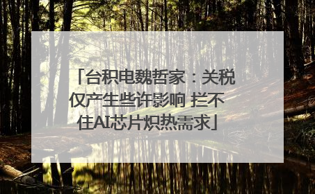 台积电魏哲家：关税仅产生些许影响 拦不住AI芯片炽热需求