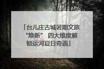 台儿庄古城暑期文旅“焕新” 四大维度解锁运河夏日奇遇