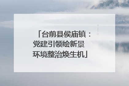 台前县侯庙镇：党建引领绘新景 环境整治焕生机