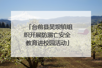 台前县吴坝镇组织开展防溺亡安全教育进校园活动