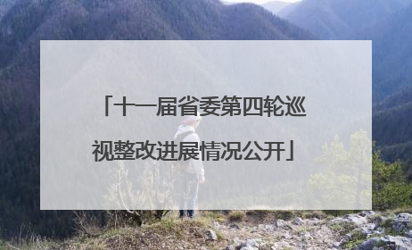 十一届省委第四轮巡视整改进展情况公开